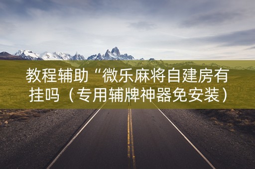 教程辅助“微乐麻将自建房有挂吗（专用辅牌神器免安装）