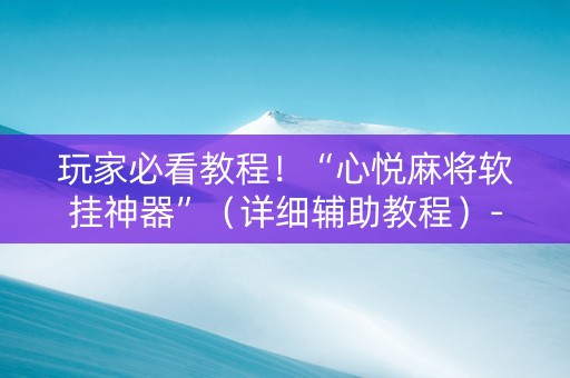 玩家必看教程！“心悦麻将软挂神器”（详细辅助教程）-哔哩哔哩