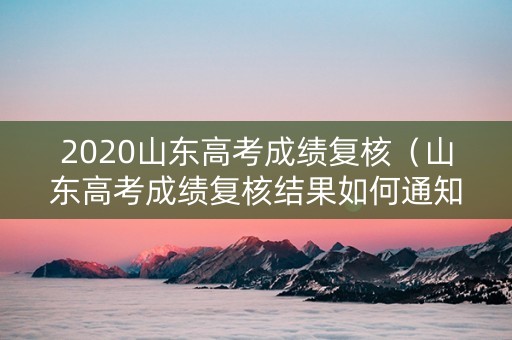 2020山东高考成绩复核（山东高考成绩复核结果如何通知）