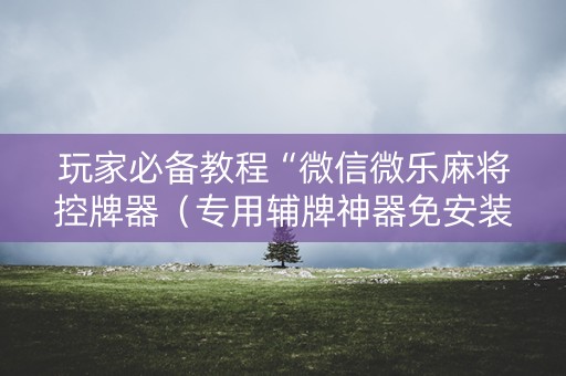 玩家必备教程“微信微乐麻将控牌器（专用辅牌神器免安装）