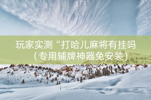 玩家实测“打哈儿麻将有挂吗（专用辅牌神器免安装）