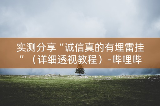 实测分享“诚信真的有埋雷挂”（详细透视教程）-哔哩哔哩