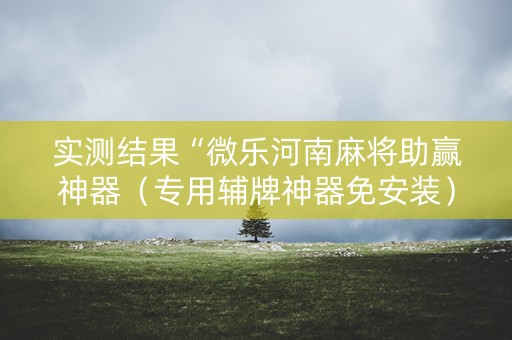 实测结果“微乐河南麻将助赢神器（专用辅牌神器免安装）