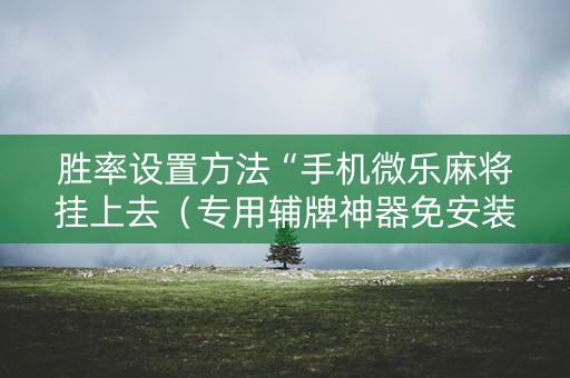 胜率设置方法“手机微乐麻将挂上去（专用辅牌神器免安装）