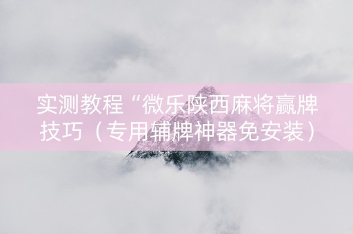 实测教程“微乐陕西麻将赢牌技巧（专用辅牌神器免安装）