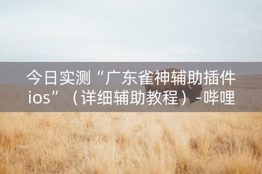 今日实测“广东雀神辅助插件ios”（详细辅助教程）-哔哩哔哩