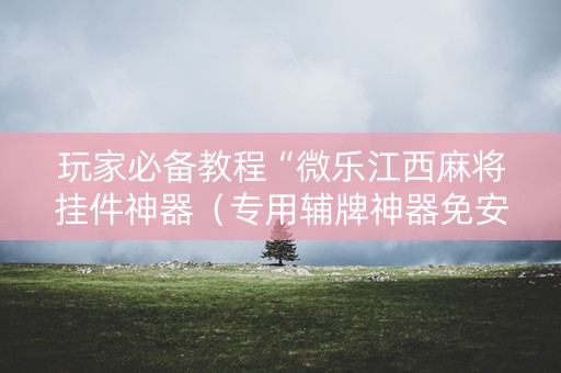 玩家必备教程“微乐江西麻将挂件神器（专用辅牌神器免安装）