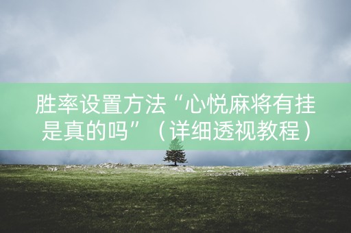 胜率设置方法“心悦麻将有挂是真的吗”（详细透视教程）-哔哩哔哩