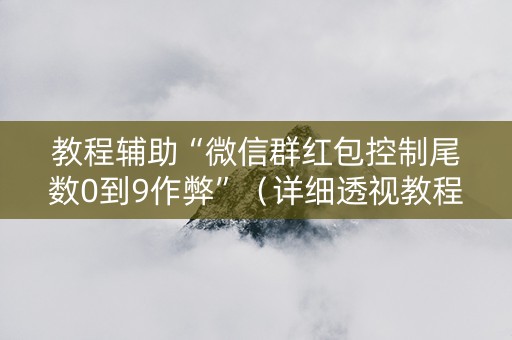 教程辅助“微信群红包控制尾数0到9作弊”（详细透视教程）-哔哩哔哩