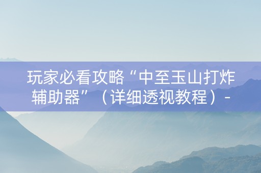 玩家必看攻略“中至玉山打炸辅助器”（详细透视教程）-哔哩哔哩