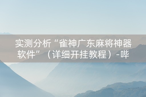 实测分析“雀神广东麻将神器软件”（详细开挂教程）-哔哩哔哩