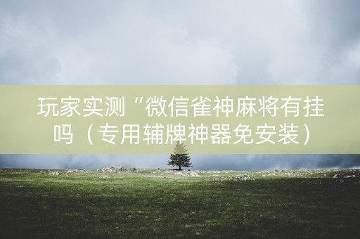 玩家实测“微信雀神麻将有挂吗（专用辅牌神器免安装）