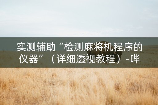 实测辅助“检测麻将机程序的仪器”（详细透视教程）-哔哩哔哩