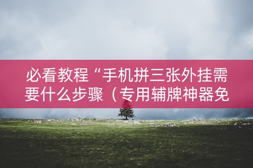 必看教程“手机拼三张外挂需要什么步骤（专用辅牌神器免安装）