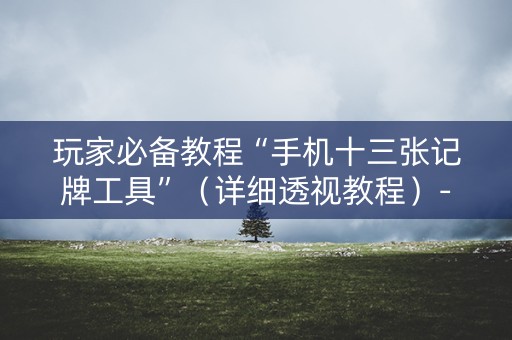玩家必备教程“手机十三张记牌工具”（详细透视教程）-哔哩哔哩