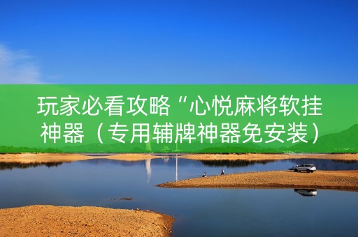 玩家必看攻略“心悦麻将软挂神器（专用辅牌神器免安装）