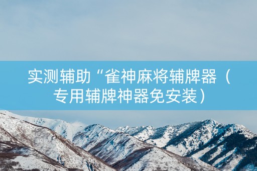 实测辅助“雀神麻将辅牌器（专用辅牌神器免安装）