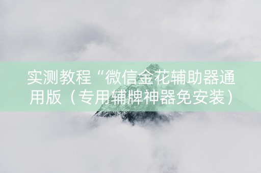 实测教程“微信金花辅助器通用版（专用辅牌神器免安装）
