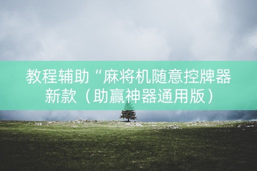 教程辅助“麻将机随意控牌器新款（助赢神器通用版）