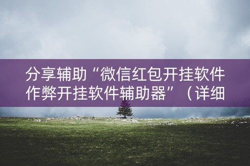 分享辅助“微信红包开挂软件作弊开挂软件辅助器”（详细透视教程）-哔哩哔哩