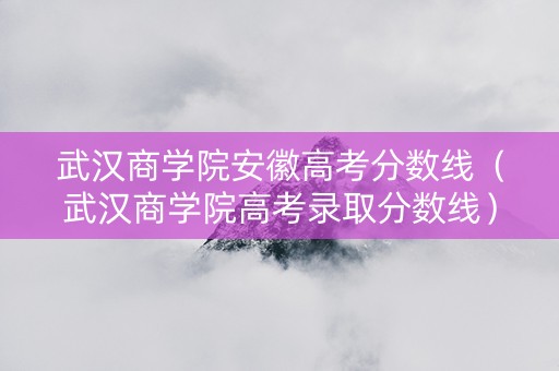 武汉商学院安徽高考分数线（武汉商学院高考录取分数线）