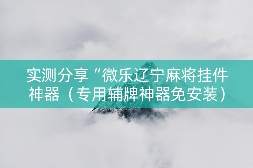 实测分享“微乐辽宁麻将挂件神器（专用辅牌神器免安装）