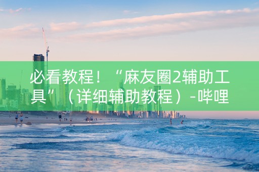 必看教程！“麻友圈2辅助工具”（详细辅助教程）-哔哩哔哩