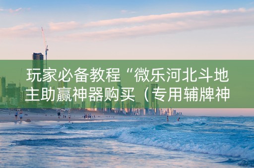 玩家必备教程“微乐河北斗地主助赢神器购买（专用辅牌神器免安装）