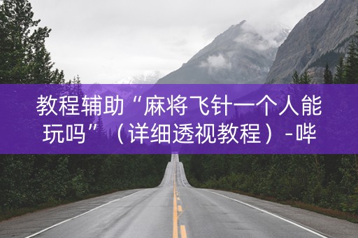 教程辅助“麻将飞针一个人能玩吗”（详细透视教程）-哔哩哔哩
