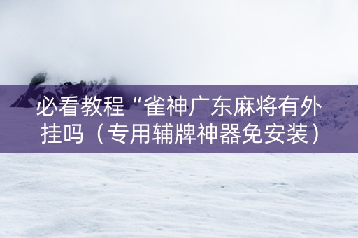 必看教程“雀神广东麻将有外挂吗（专用辅牌神器免安装）