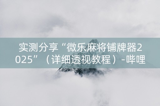 实测分享“微乐麻将铺牌器2025”（详细透视教程）-哔哩哔哩