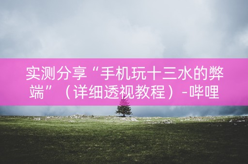 实测分享“手机玩十三水的弊端”（详细透视教程）-哔哩哔哩