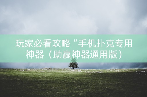 玩家必看攻略“手机扑克专用神器（助赢神器通用版）
