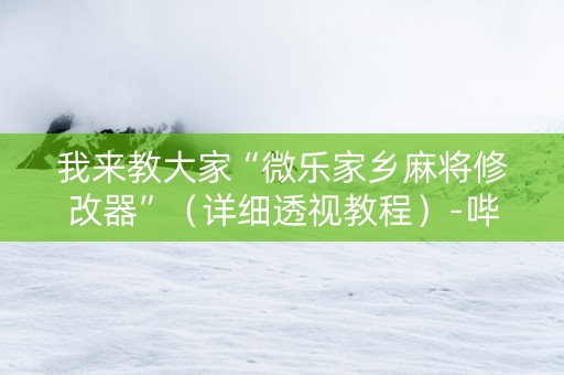 我来教大家“微乐家乡麻将修改器”（详细透视教程）-哔哩哔哩