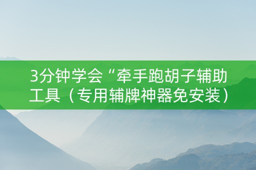 3分钟学会“牵手跑胡子辅助工具（专用辅牌神器免安装）