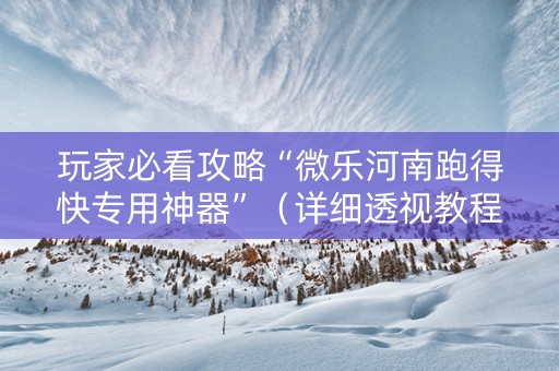 玩家必看攻略“微乐河南跑得快专用神器”（详细透视教程）-哔哩哔哩