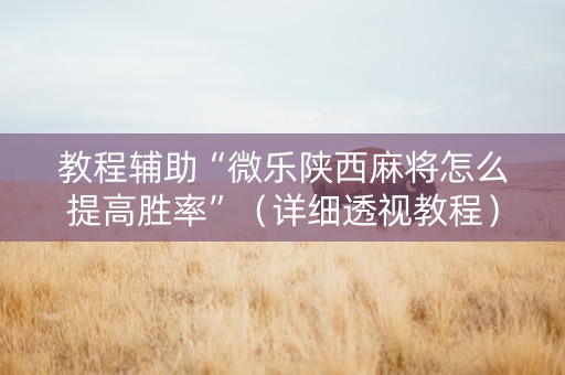 教程辅助“微乐陕西麻将怎么提高胜率”（详细透视教程）-哔哩哔哩