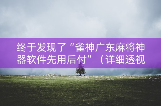 终于发现了“雀神广东麻将神器软件先用后付”（详细透视教程）-哔哩哔哩
