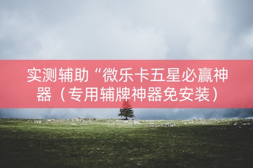 实测辅助“微乐卡五星必赢神器（专用辅牌神器免安装）