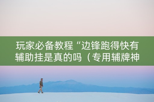 玩家必备教程“边锋跑得快有辅助挂是真的吗（专用辅牌神器免安装）