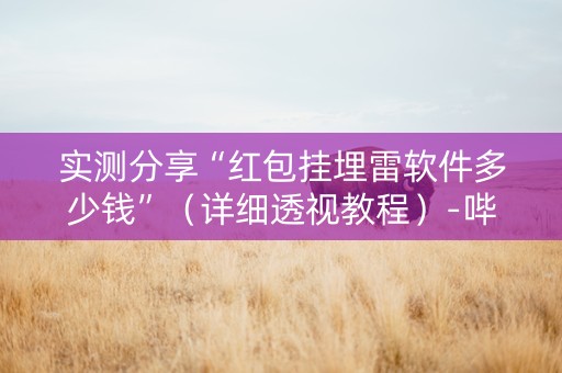 实测分享“红包挂埋雷软件多少钱”（详细透视教程）-哔哩哔哩