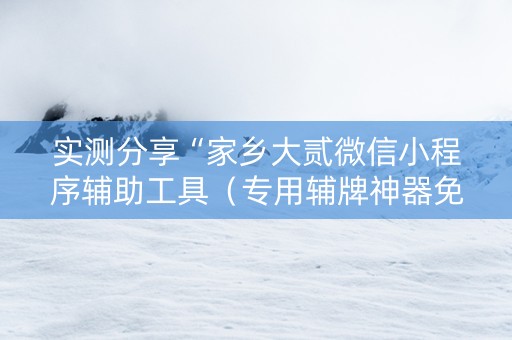 实测分享“家乡大贰微信小程序辅助工具（专用辅牌神器免安装）