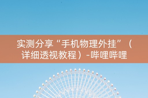 实测分享“手机物理外挂”（详细透视教程）-哔哩哔哩