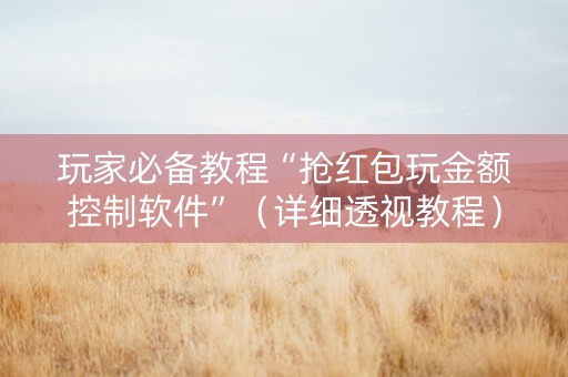 玩家必备教程“抢红包玩金额控制软件”（详细透视教程）-哔哩哔哩