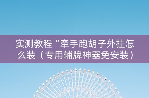 实测教程“牵手跑胡子外挂怎么装（专用辅牌神器免安装）