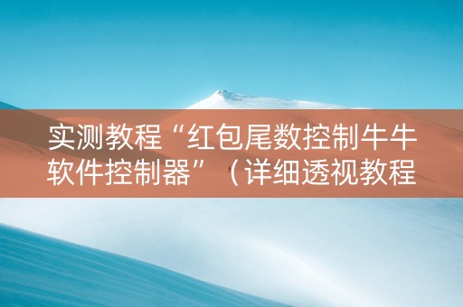 实测教程“红包尾数控制牛牛软件控制器”（详细透视教程）-哔哩哔哩