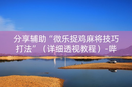 分享辅助“微乐捉鸡麻将技巧打法”（详细透视教程）-哔哩哔哩