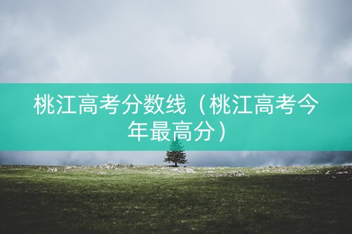 桃江高考分数线（桃江高考今年最高分）