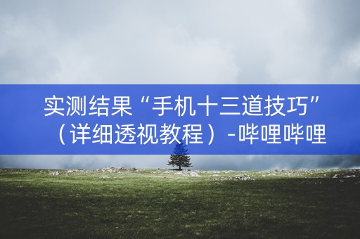 实测结果“手机十三道技巧”（详细透视教程）-哔哩哔哩