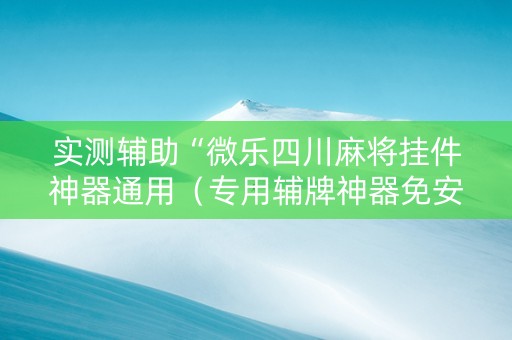 实测辅助“微乐四川麻将挂件神器通用（专用辅牌神器免安装）